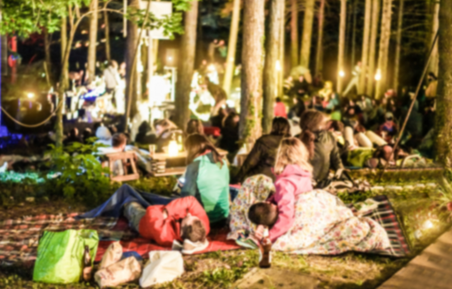 Elbenwald Festival 2026 im Spreeauenpark Cottbus