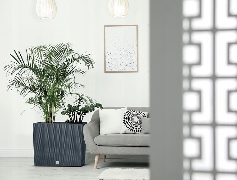 7e5faddf0d992d85fa6a74fe927b386c