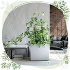 40d542bd2be50655cc233caf4180f85f