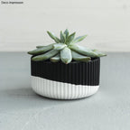 Raysin 250 casting powder