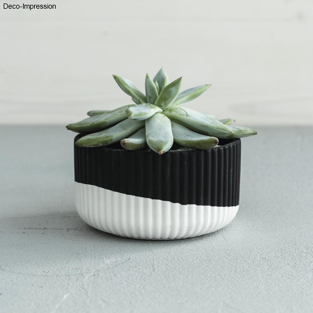 Raysin 250 casting powder