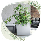 451c062f322de42fbb59eda40c8a1e25