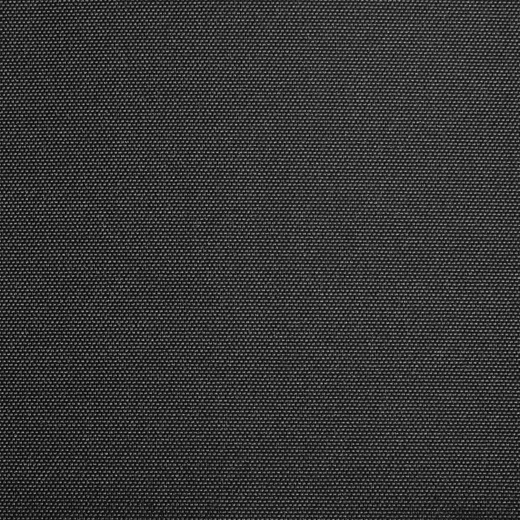 Markisenbespannung Canvas Anthrazit 400x300 cm