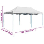 Profi-Partyzelt Faltbar 3 x 6 m Stahl Weiß