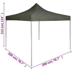 Profi-Partyzelt Faltbar 2×2 m Stahl Anthrazit