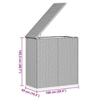 Garten-Kissenbox PE Rattan 100x49x103,5 cm Schwarz