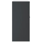 Aktenschrank Anthrazit 79x40x90 cm Stahl