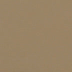 Seitenmarkise Ausziehbar Taupe 100x300 cm