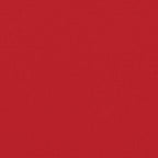 Seitenmarkise Ausziehbar Rot 120x600 cm