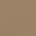 Seitenmarkise Ausziehbar Taupe 180x600 cm