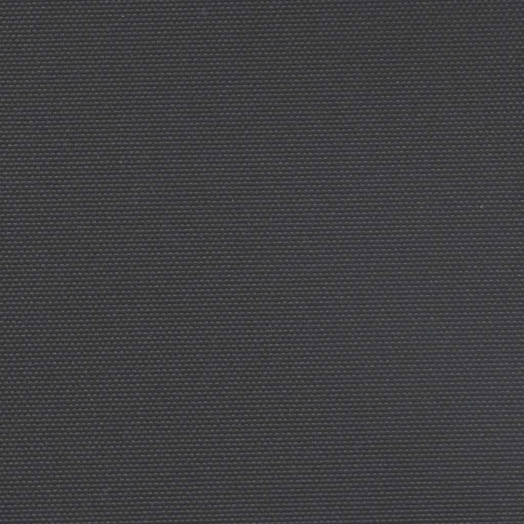 Seitenmarkise Ausziehbar Schwarz 200x600 cm