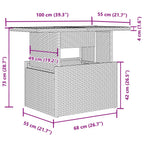 2-tlg. Garten-Sofagarnitur mit Kissen Schwarz Poly Rattan Glas