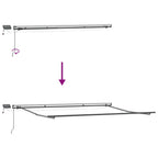 Markise Manuell mit LEDs Weinrot 500x300 cm