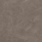 Esszimmerstühle mit Rollen 2 pcs Grau 58 x 67 x 97 cm