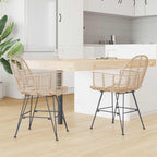 Esszimmerstuhl 2 pcs Rattan und Eisen Natur 57 x 55 x 85 cm