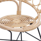Esszimmerstuhl 2 pcs Rattan und Eisen Natur 54 x 65 x 82 cm