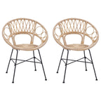 Esszimmerstuhl 2 pcs Rattan und Eisen Natur 54 x 65 x 82 cm
