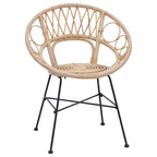 Esszimmerstuhl 2 pcs Rattan und Eisen Natur 54 x 65 x 82 cm