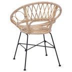 Esszimmerstuhl 2 pcs Rattan und Eisen Natur 54 x 65 x 82 cm