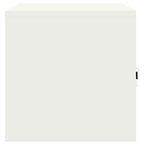 Aufbewahrungsschrank Weiß 80 x 40 x 40 cm Stahl