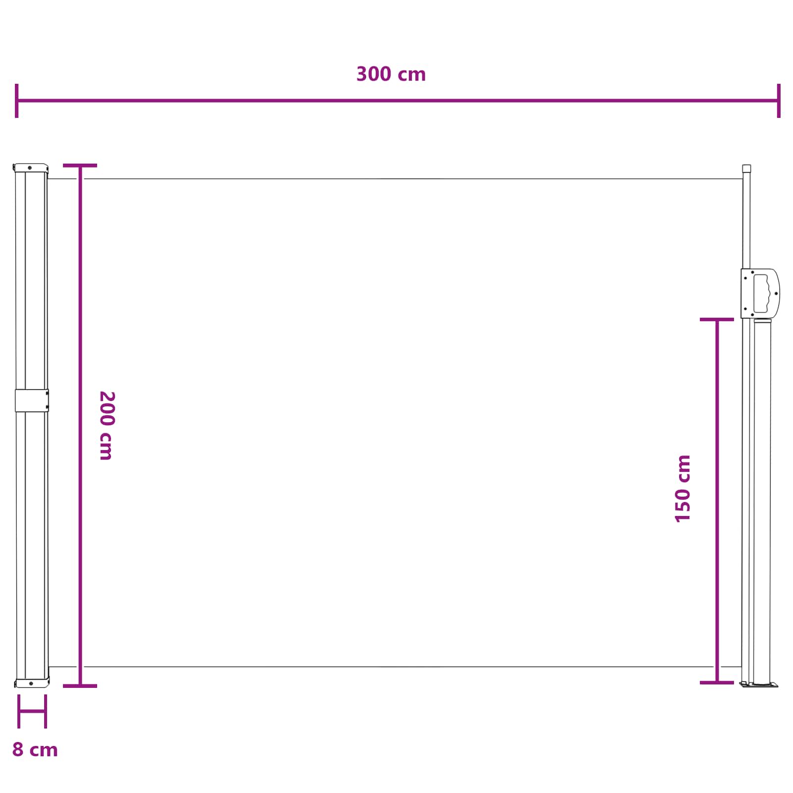 Ausziehbares Seitenmarkise Grau 300 x 200 cm Polyester