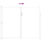 Ausziehbares Seitenmarkise Sand 300 x 200 cm Polyester