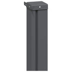 Ausziehbares Seitenmarkise Schwarz 300 x 100 cm Polyester
