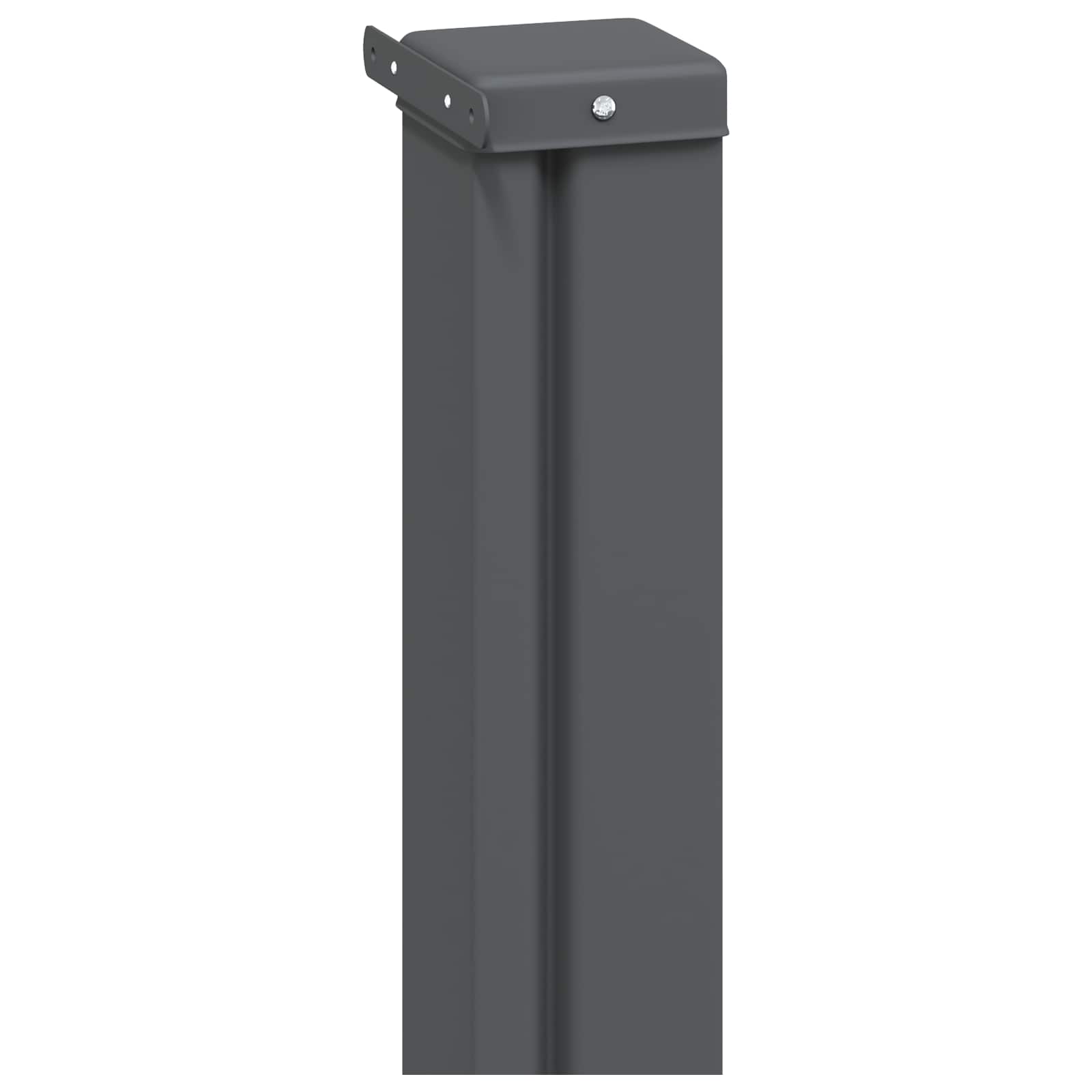 Ausziehbares Seitenmarkise Schwarz 300 x 100 cm Polyester