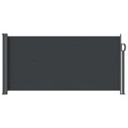 Ausziehbares Seitenmarkise Schwarz 300 x 100 cm Polyester