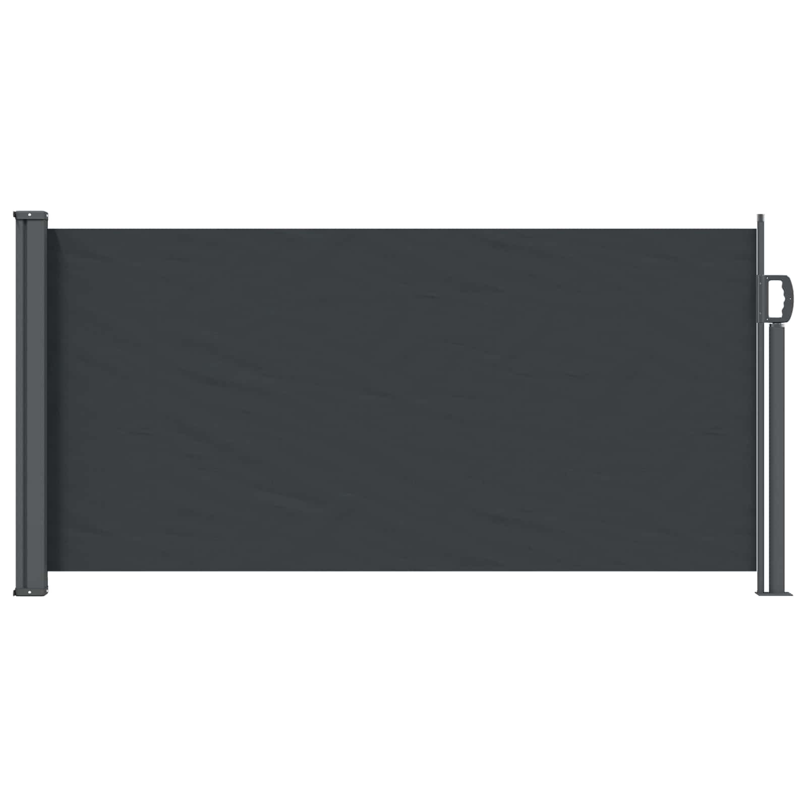 Ausziehbares Seitenmarkise Schwarz 300 x 100 cm Polyester