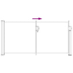 Ausziehbares Seitenmarkise Schwarz 300 x 100 cm Polyester