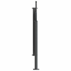 Ausziehbares Seitenmarkise Schwarz 300 x 100 cm Polyester