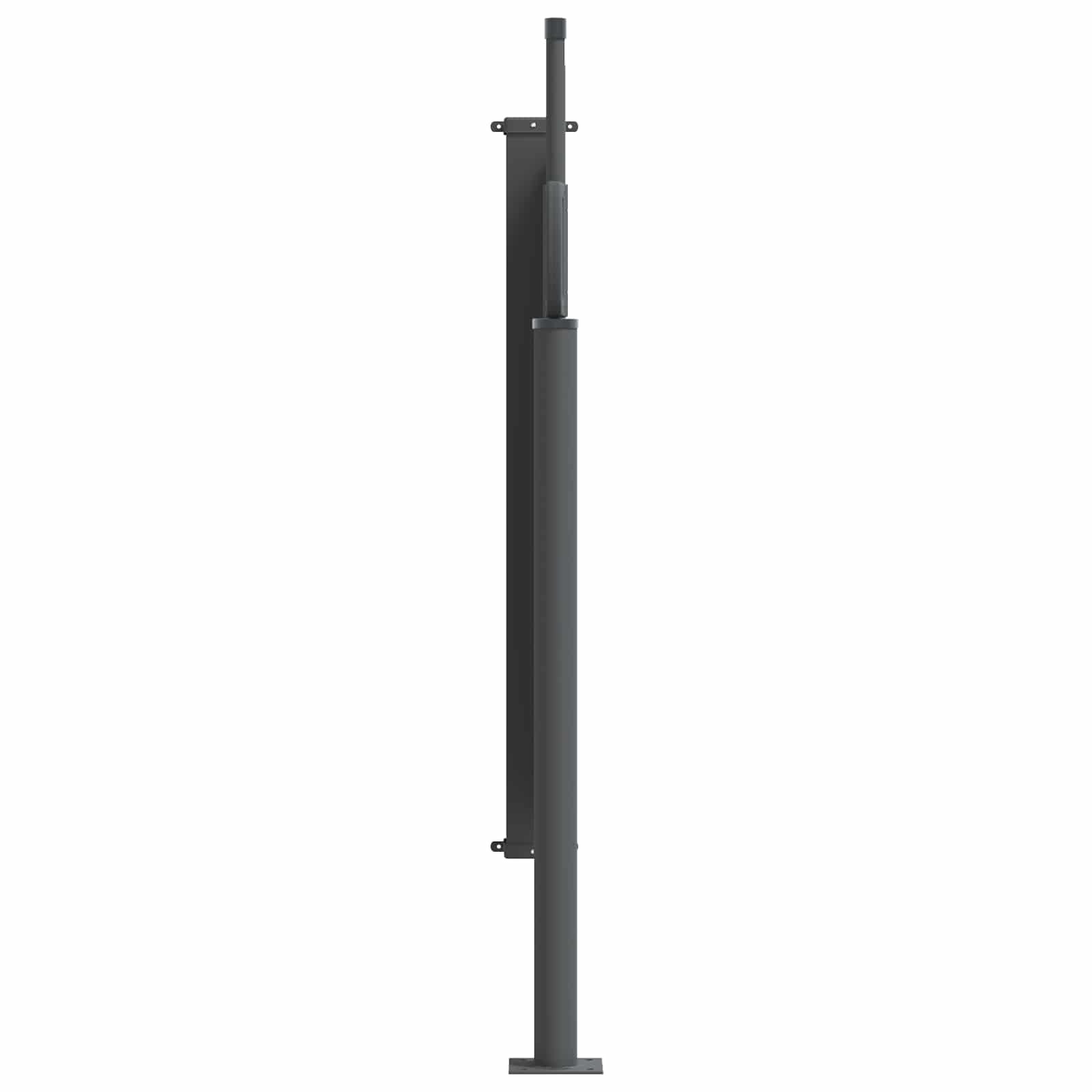 Ausziehbares Seitenmarkise Schwarz 300 x 100 cm Polyester