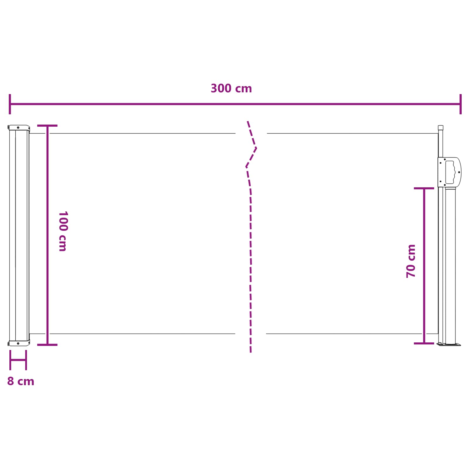 Ausziehbares Seitenmarkise Schwarz 300 x 100 cm Polyester