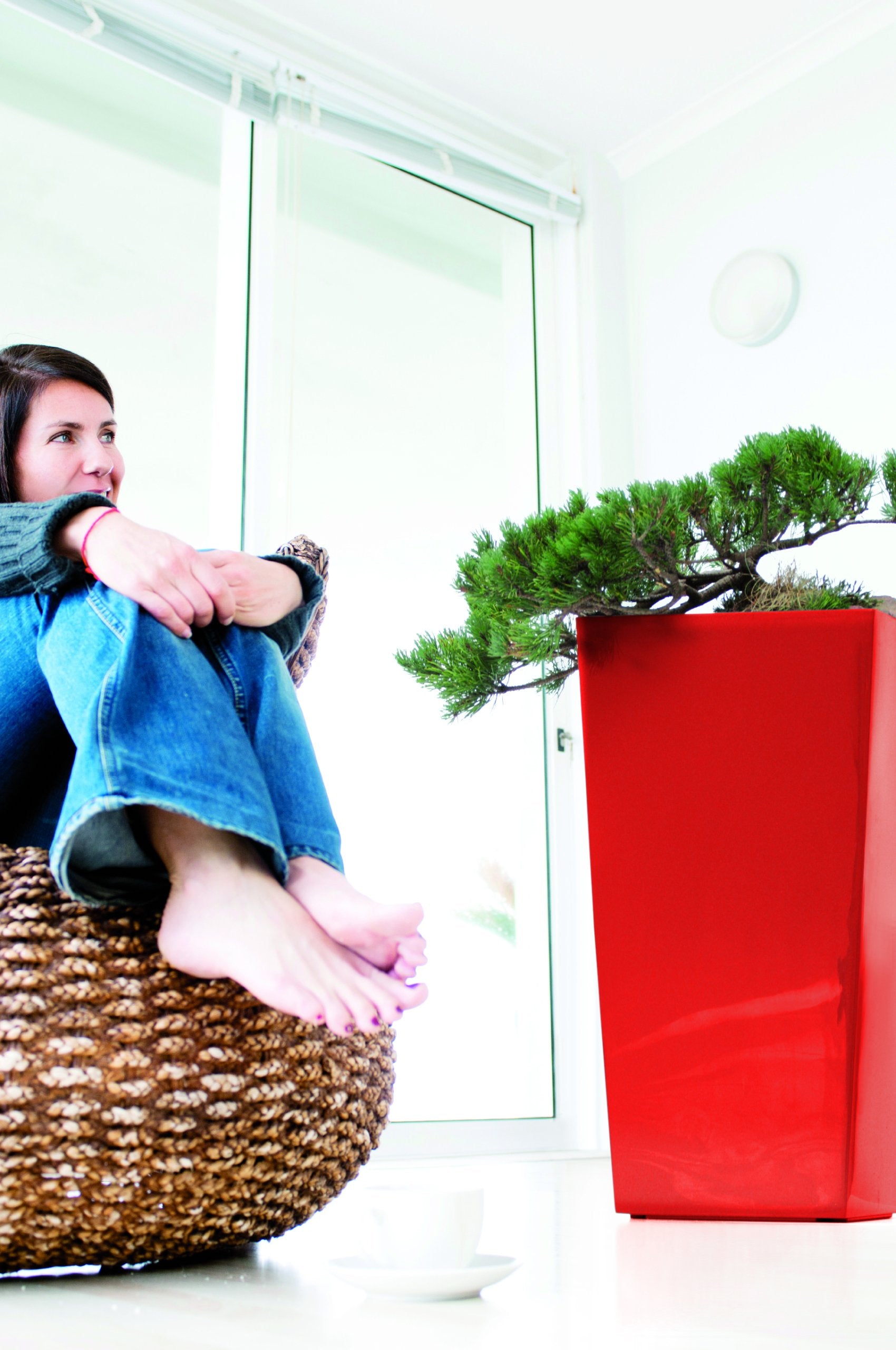 d88274278acdfa50daa01b13dc55719b