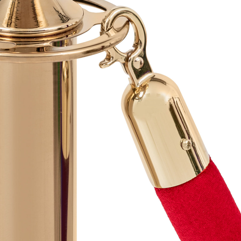 Rotes Velourseil – goldene Schnalle-1